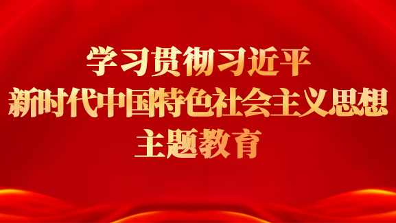 学习贯彻习近平新时代中国特色社会主义思想主题教育